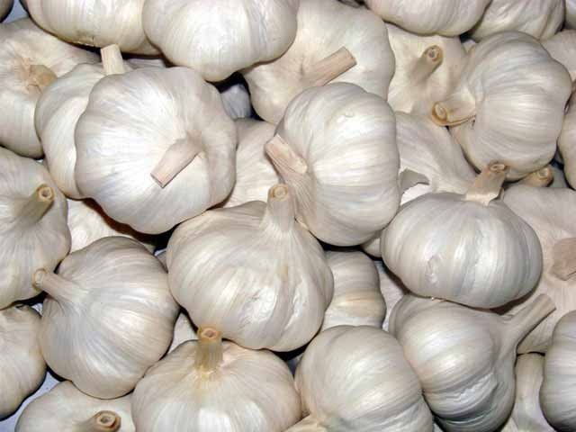 Lehson Chaina/ لہسن چائنہ