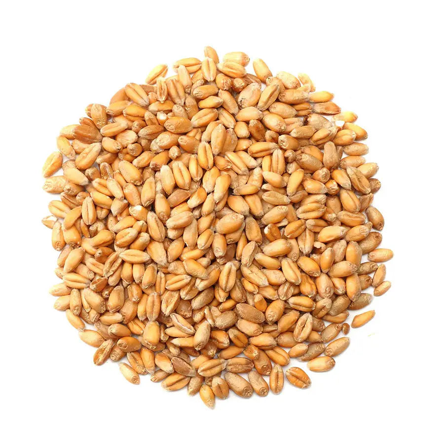 Wheat Desi 1kg