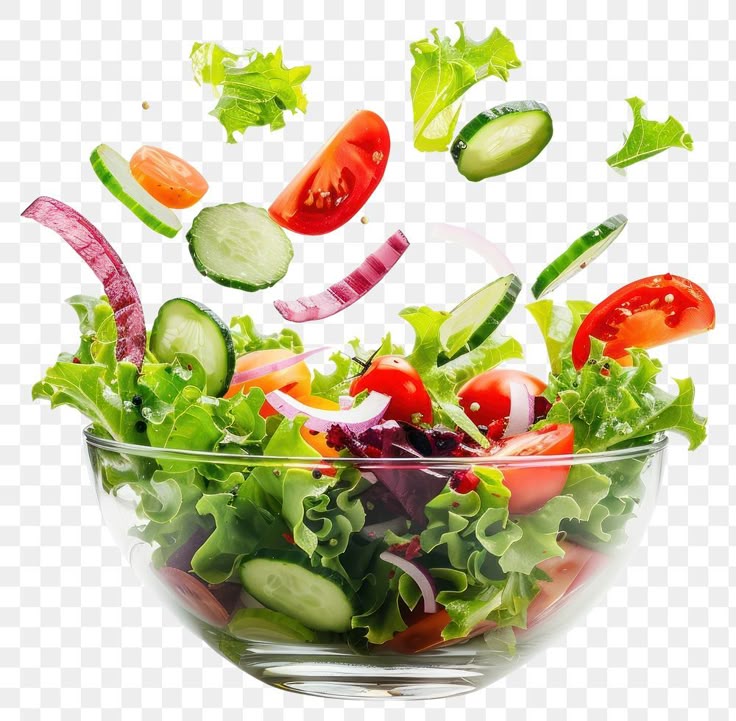 Special Homemade Fresh Salad 70-100g |